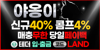 야옹이